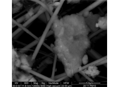 Figura 2. Immagine SEM – EDX di una particella silicatica campionata il 20 Novembre 2013.