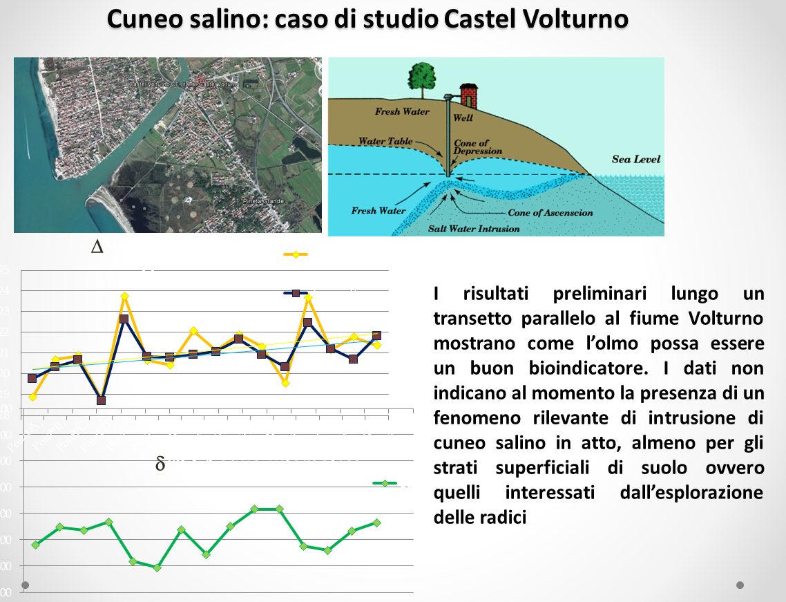 Cuneo salino: caso di studio Castel Volturno