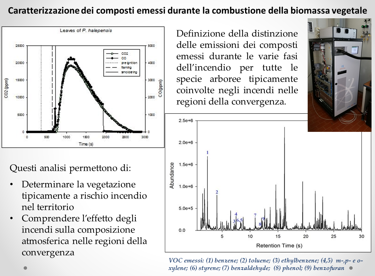 Caratterizzazione dei composti emessi durante la combustione della biomassa vegetale