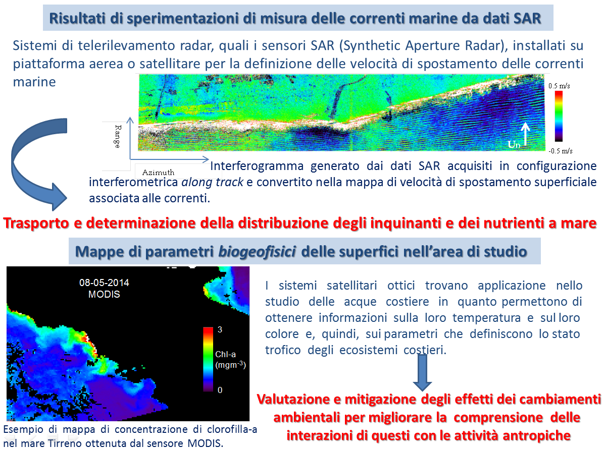 Trasporto e determinazione della distribuzione degli inquinanti e dei nutrienti a mare