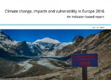 EEA Report 1/2017